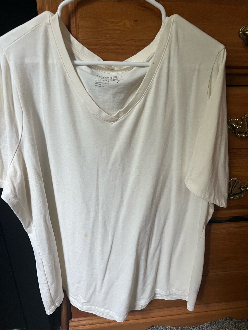 Terra & Sky Cream V-Neck Short Sleeve Top